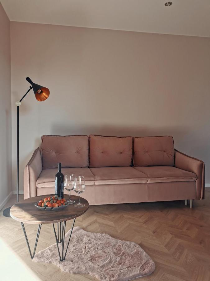Cosy Old Town Apartment クライペダ エクステリア 写真