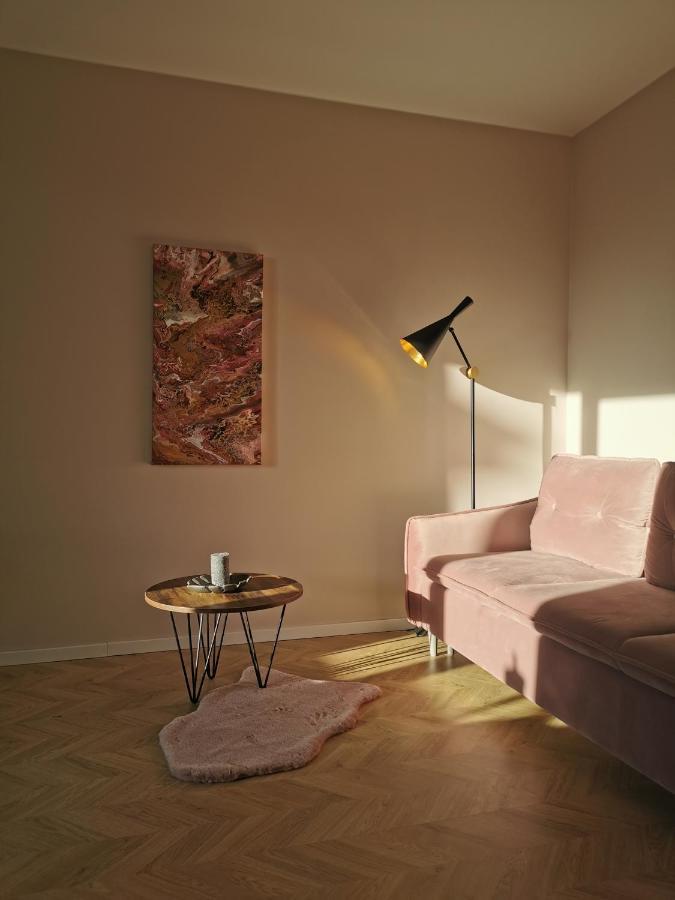 Cosy Old Town Apartment クライペダ エクステリア 写真